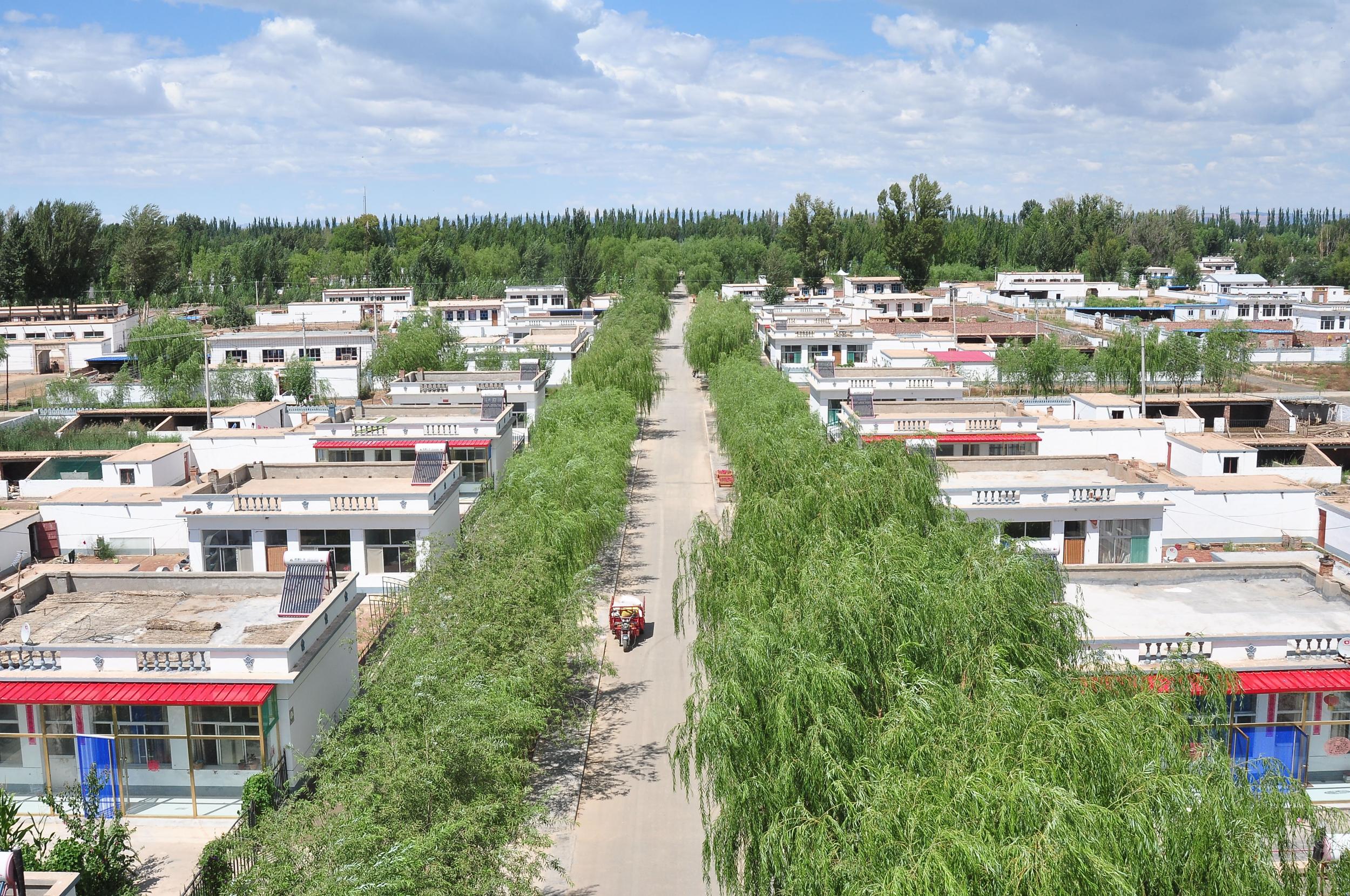 黑龙江西葫芦种植,农民种植西葫芦亩收入