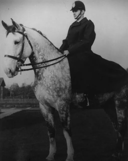 burberry风衣推荐,burberry风衣高级感