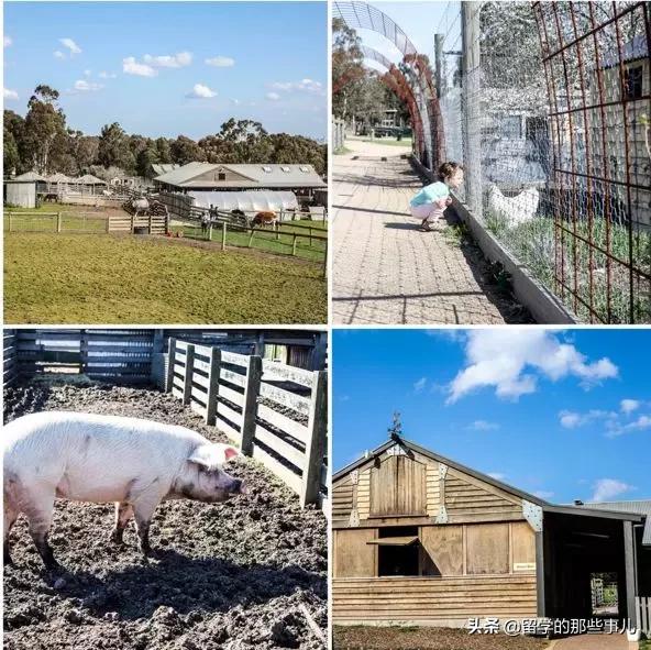 墨尔本亲子游旅游攻略大全,墨尔本亲子游攻略