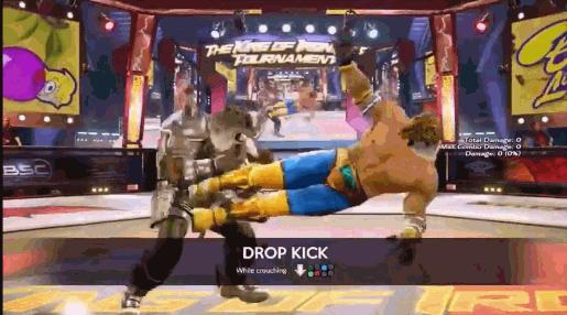 格斗技巧实战功夫,格斗游戏技巧教学