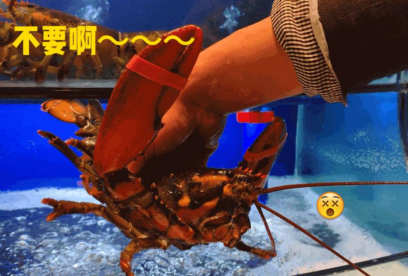 兰州好吃又实惠的海鲜,兰州值得推荐海鲜店