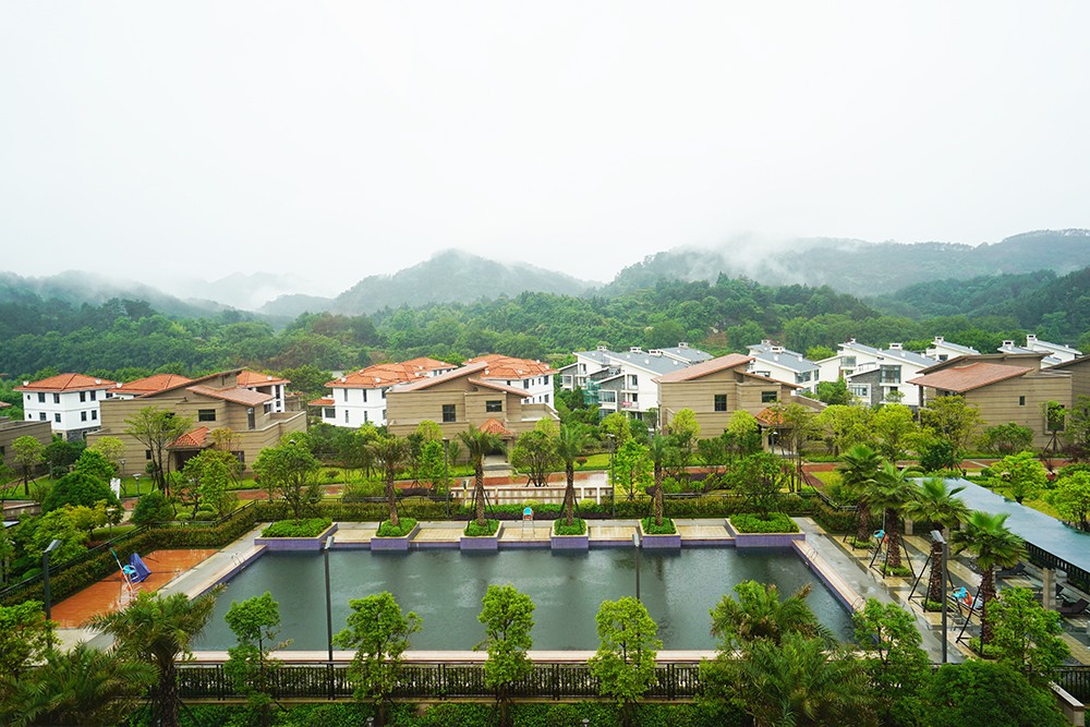 武夷山千禧大酒店金凤凰,武夷山千禧酒店温泉