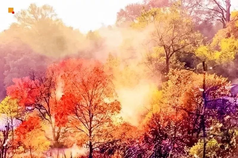 婺源篁岭赏秋,晒秋江西婺源篁岭