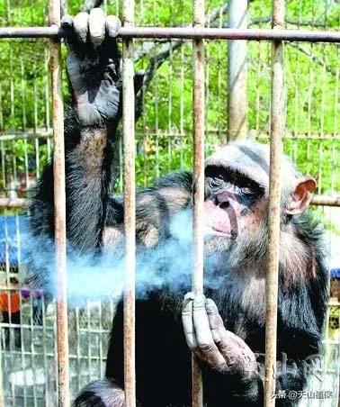 乌鲁木齐90后的南门回忆,乌鲁木齐人民公园记忆