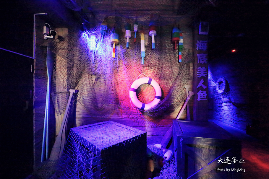北方明珠活力四射的浪漫之都大连，国内最具特色的海洋世界圣亚