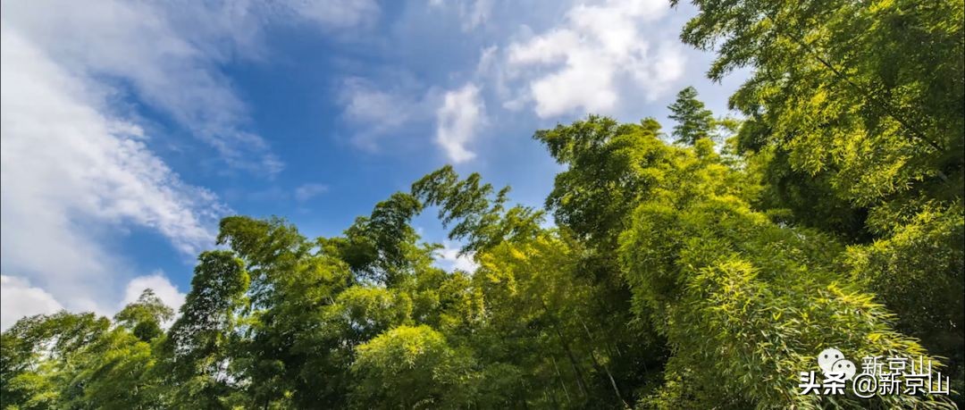 京山凉爽的旅游景点有哪些,生态京山景点