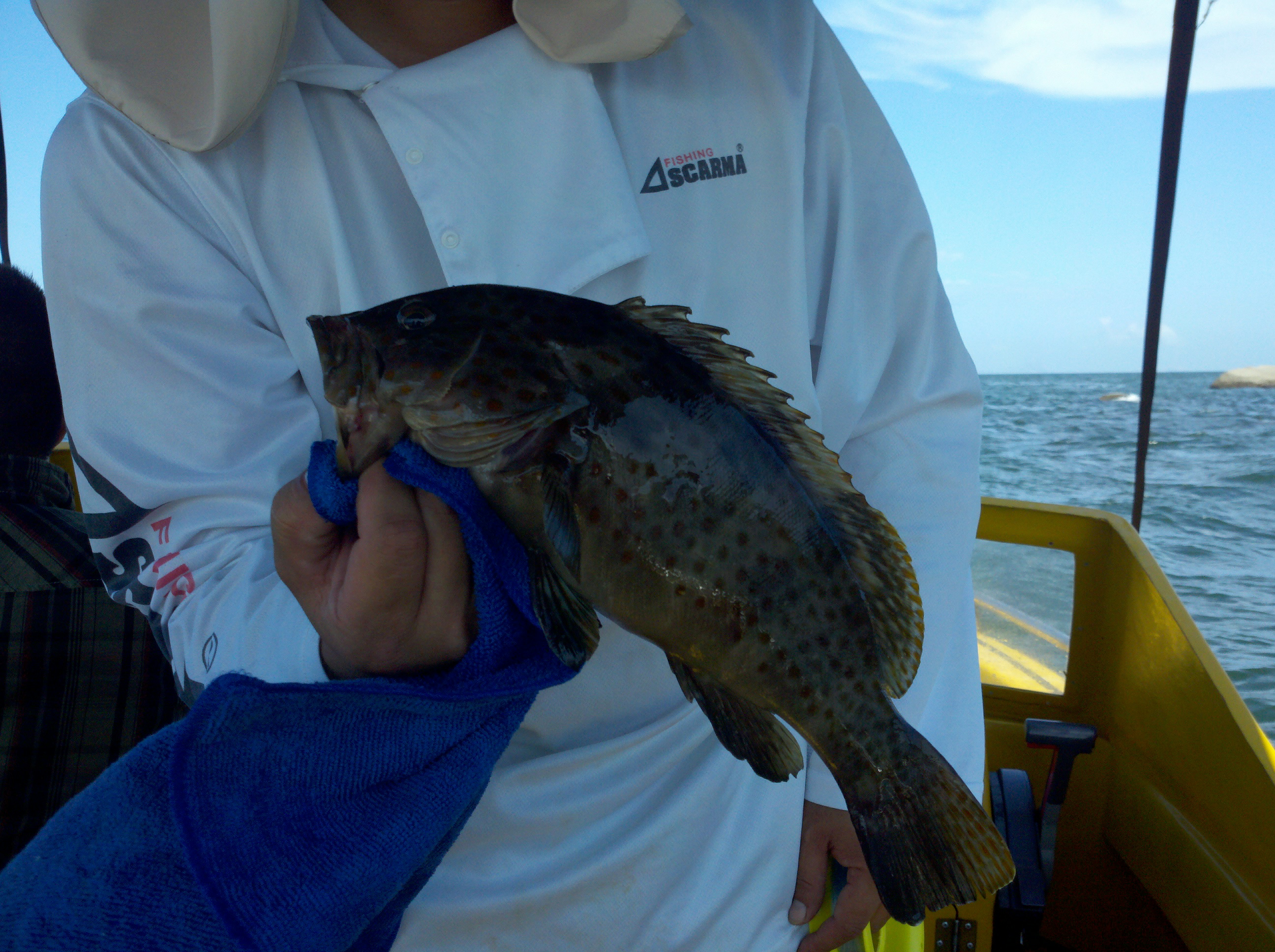 手丝钓法能钓鲫鱼吗,手钓有几种钓法