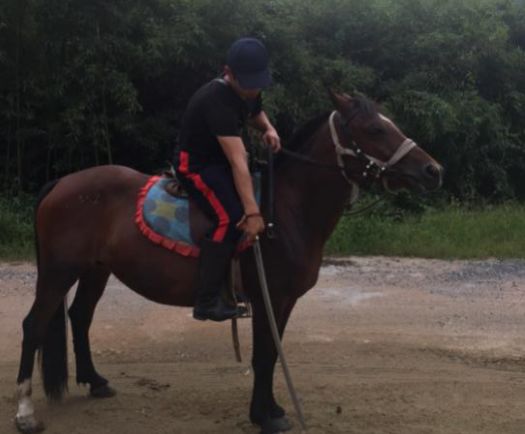 楠戝叺椹垁鍔堝埡鏁欏,楠戝叺椹垁鍔堝埡