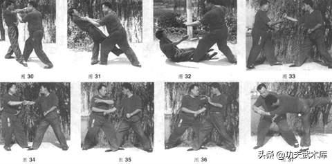 形意拳鼍形,武术象形拳之鸭子拳