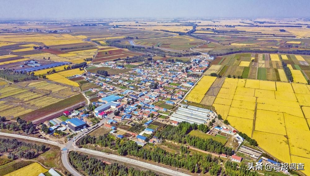 有图有真相的攻略,有图有真相逆战