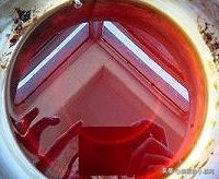 各种美味小吃教程,各种美味甜品视频