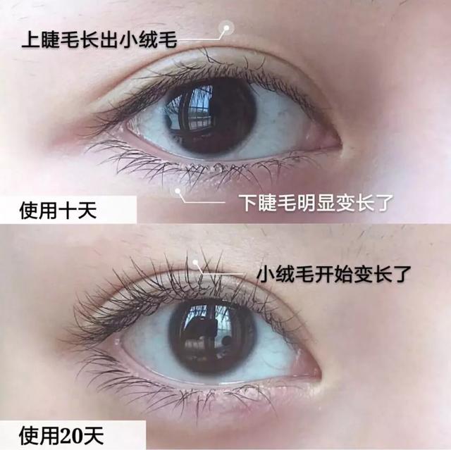 真实好用的睫毛增长液,日本睫毛增长液