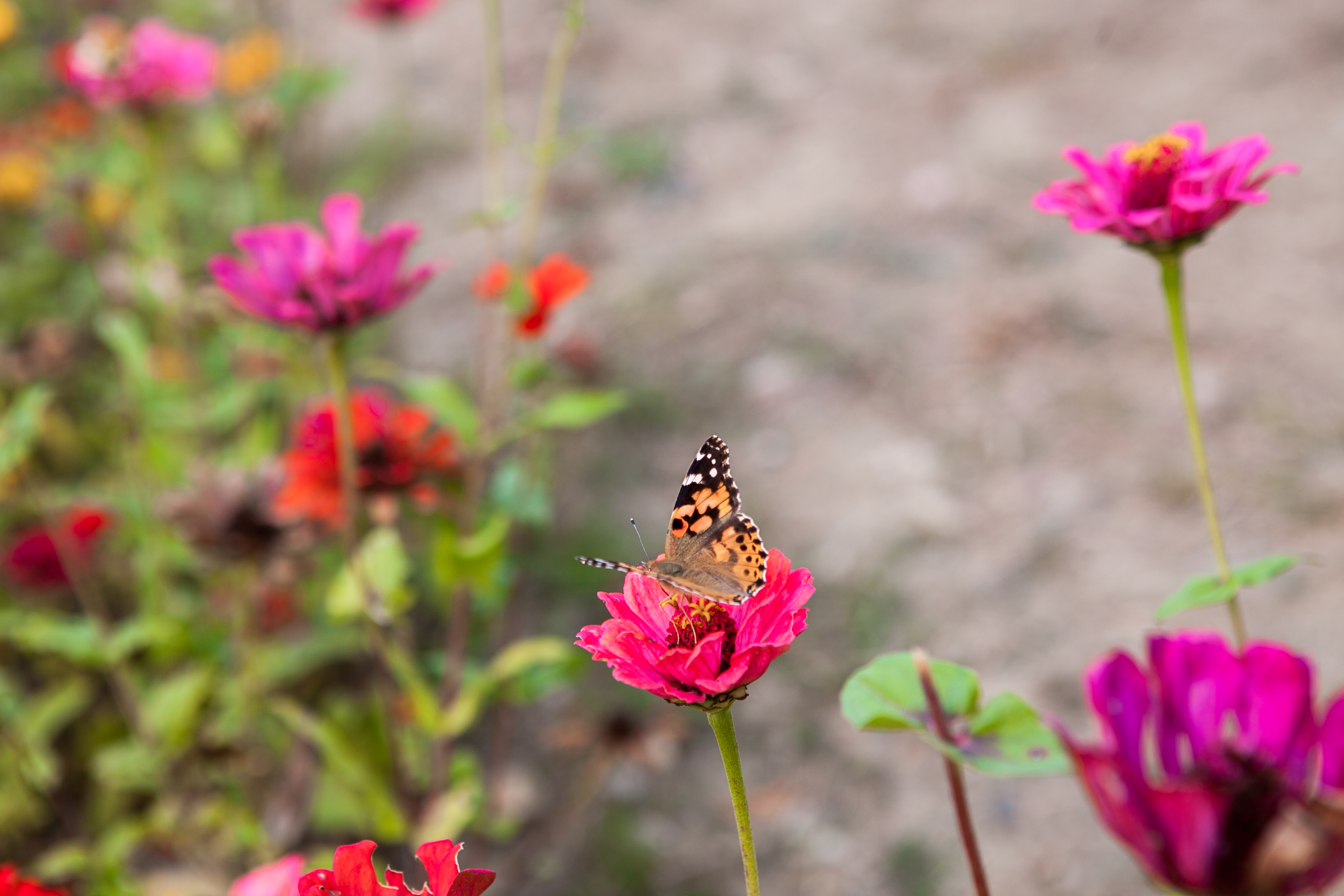 秋天的无锡美的醉人，去无锡旅行，这些好地方不要错过了
