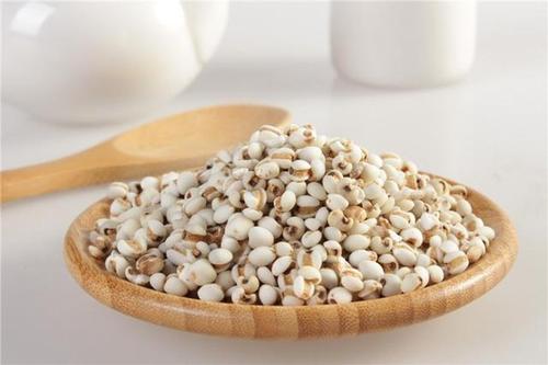 立冬养生药膳：薏苡仁（薏米）