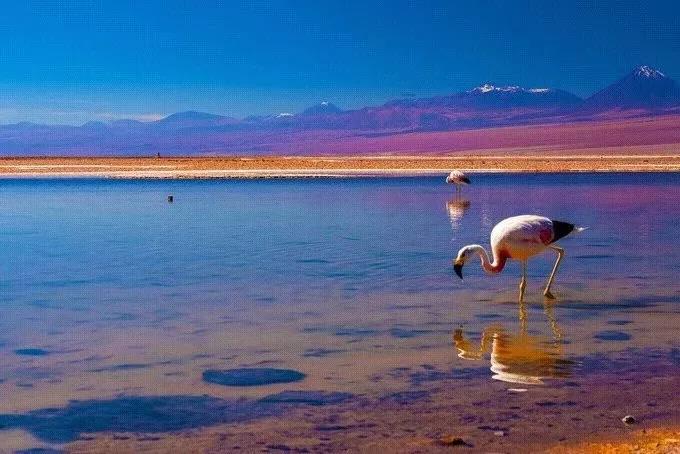 天空之镜玻利维亚乌尤尼盐沼湖,天空之镜玻利维亚的乌尤尼盐沼