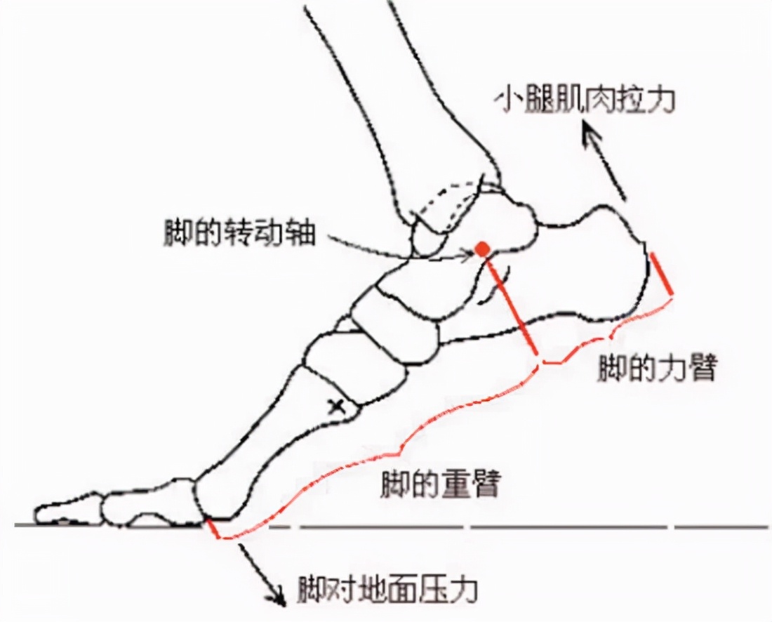 买鞋子尺码怎么选,买鞋子应该大一码还是刚刚好