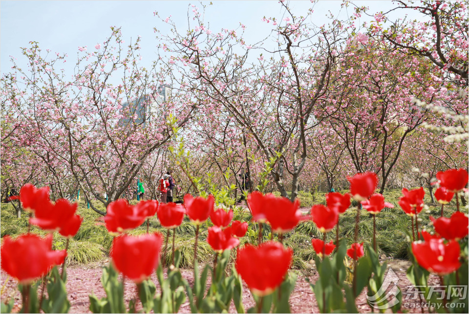 冬日暖阳黄兴公园的美景,公园黄兴公园