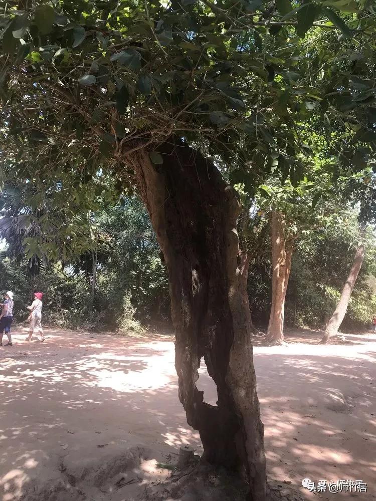 柬埔寨游记600字,柬埔寨游记美篇