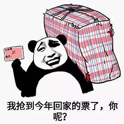 春运抢票英文怎么说,春运英语表达词