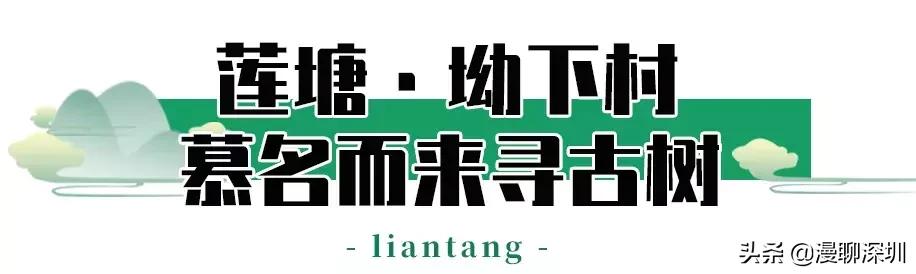 深圳空气中氡含量全国第一,深圳市负氧离子大概是多少
