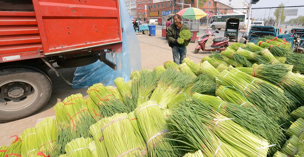 今日蒜薹最新价格表,蒜薹最新价格今天