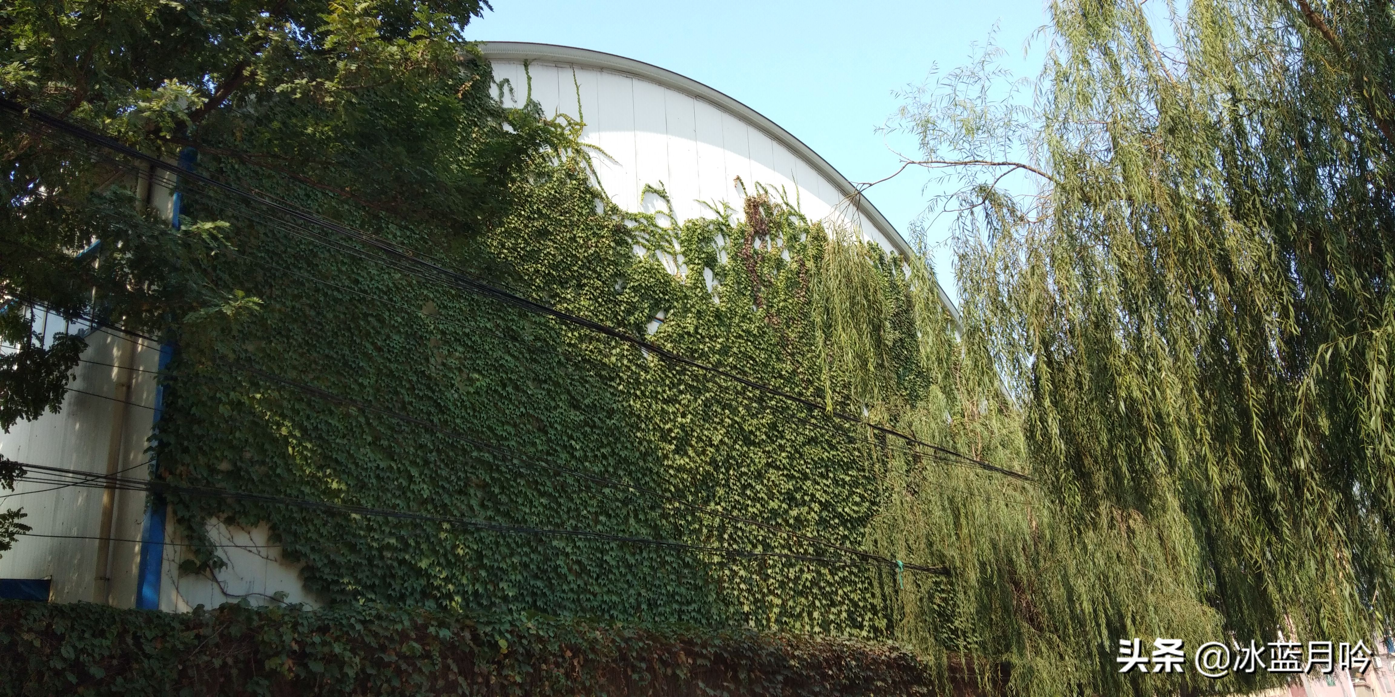 鍞愬北鏋楄タ鑰佽,鎺㈠鍘嗗彶瓒宠抗閲嶆俯宄ュ禈宀佹湀