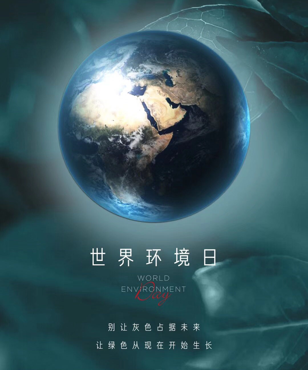 写在“世界环境日”，开洋木门助力解决室内三大污染源