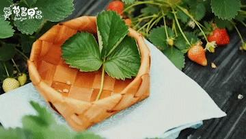 柳州草莓采摘园附近最近地方,柳州附近摘草莓好玩的地方