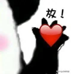 女生主播聊天记录,女主播内幕套路骗局