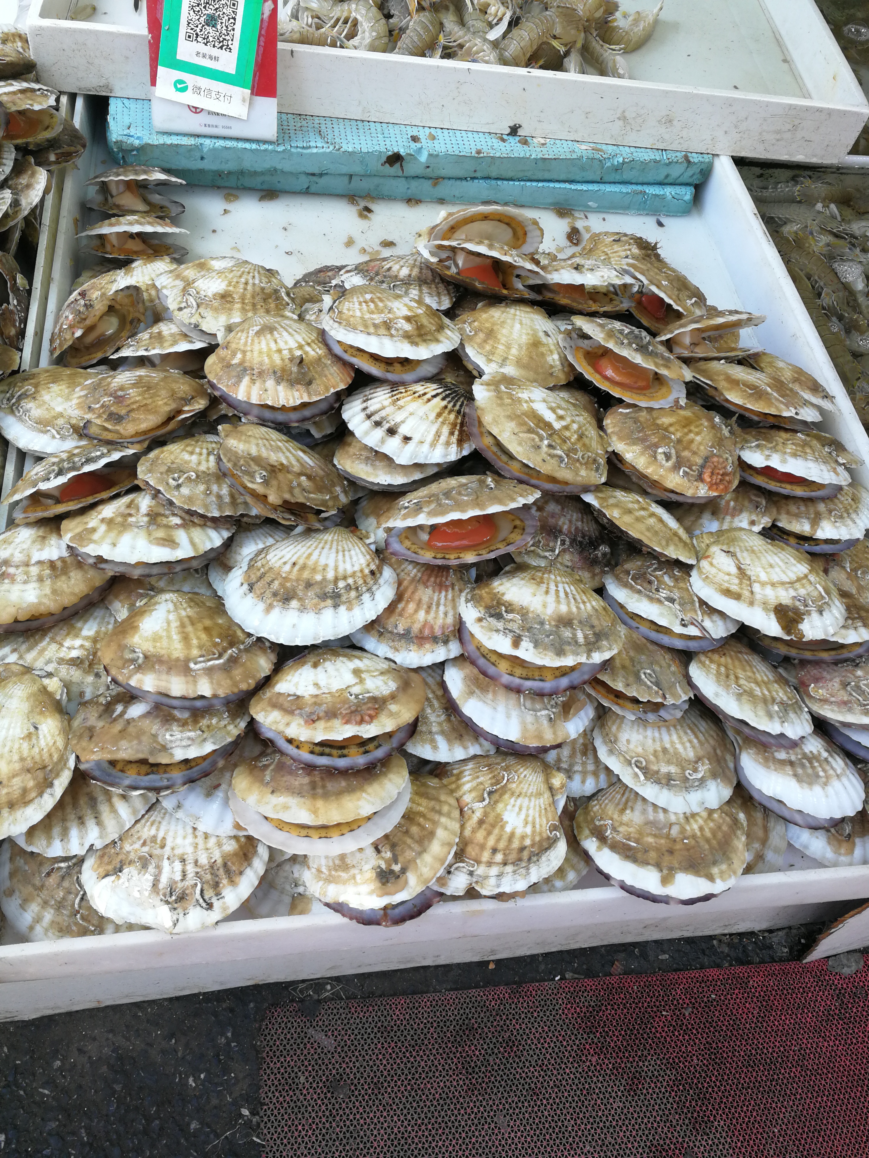 海鲜打卡地点推荐,五一海鲜打卡地