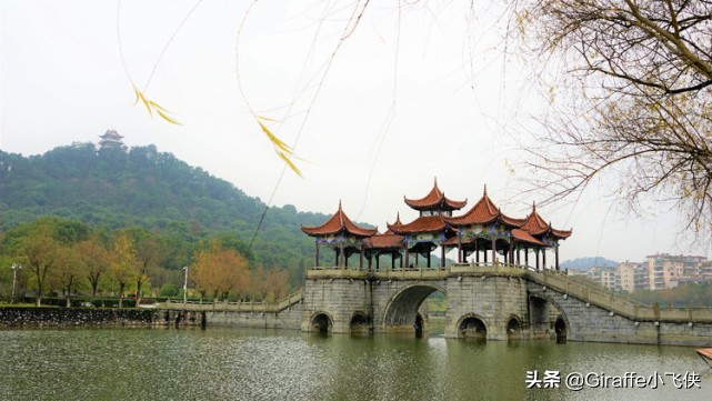 小苑温泉民宿宜春,江西宜春富硒温泉民宿