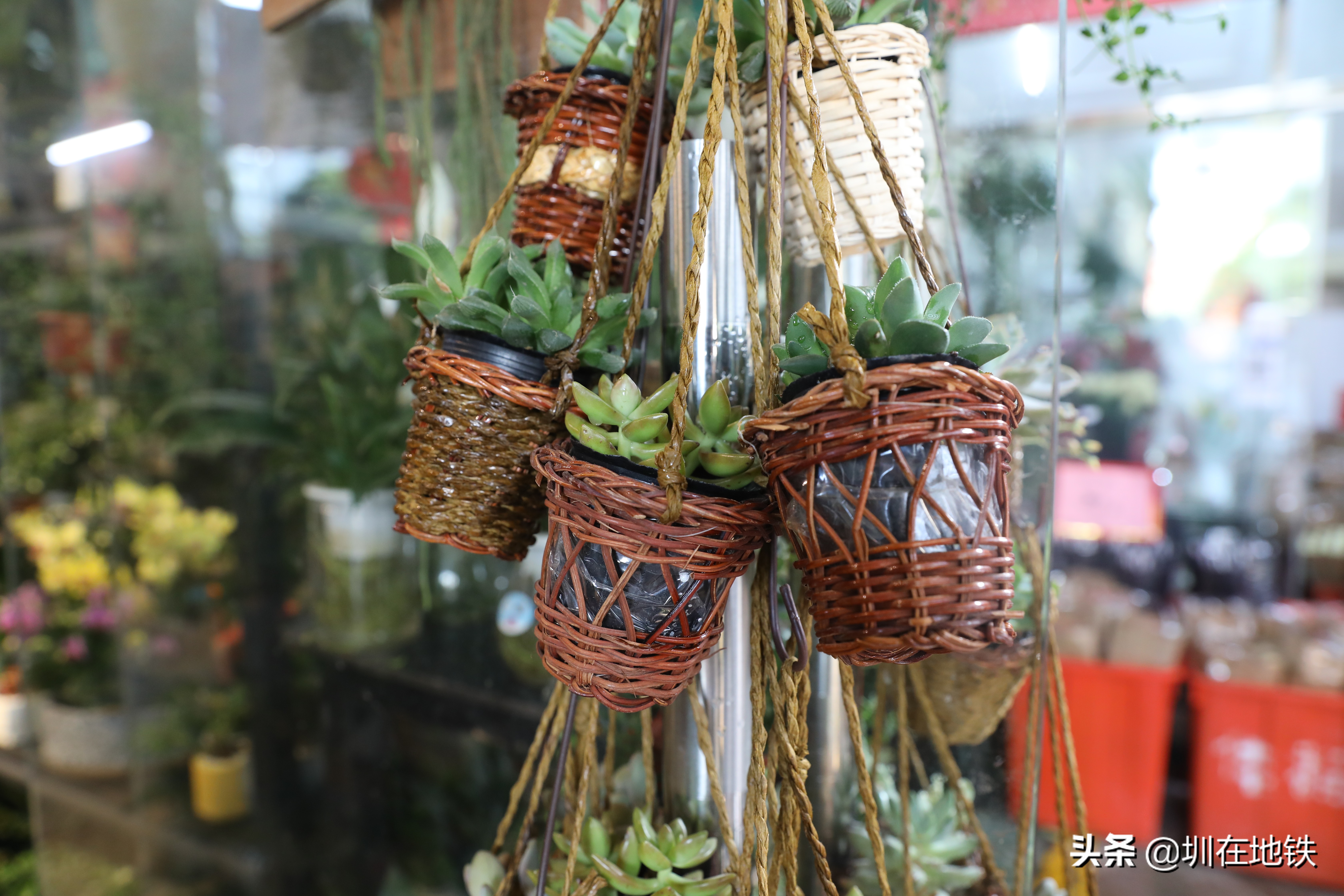 乘坐地铁到滘口花卉市场,从地铁到花卉市场