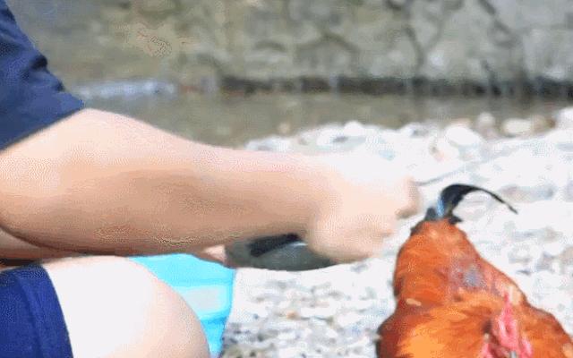 真假进口鱼钩,拆穿鱼钩的十大骗局