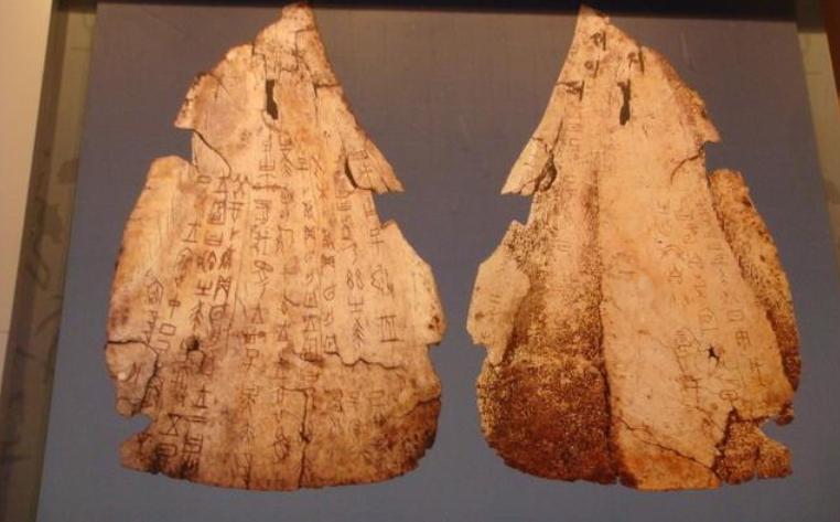 美字的本意是什么，甲骨文揭开秘密，根本不是羊大为美