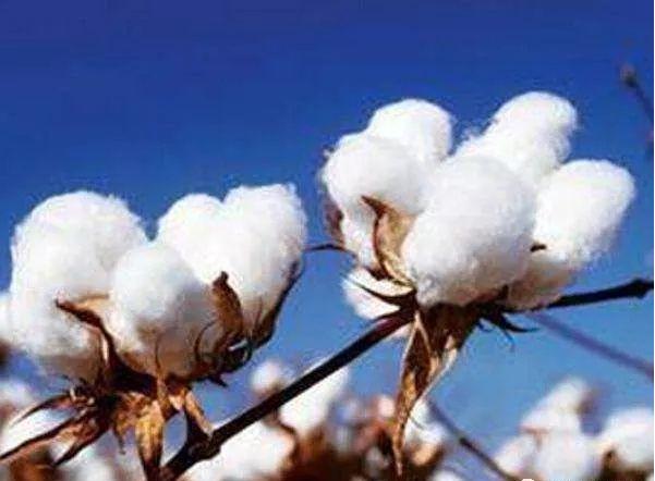 十大品牌床上四件套店铺推荐,十大品牌床上纯棉四件套