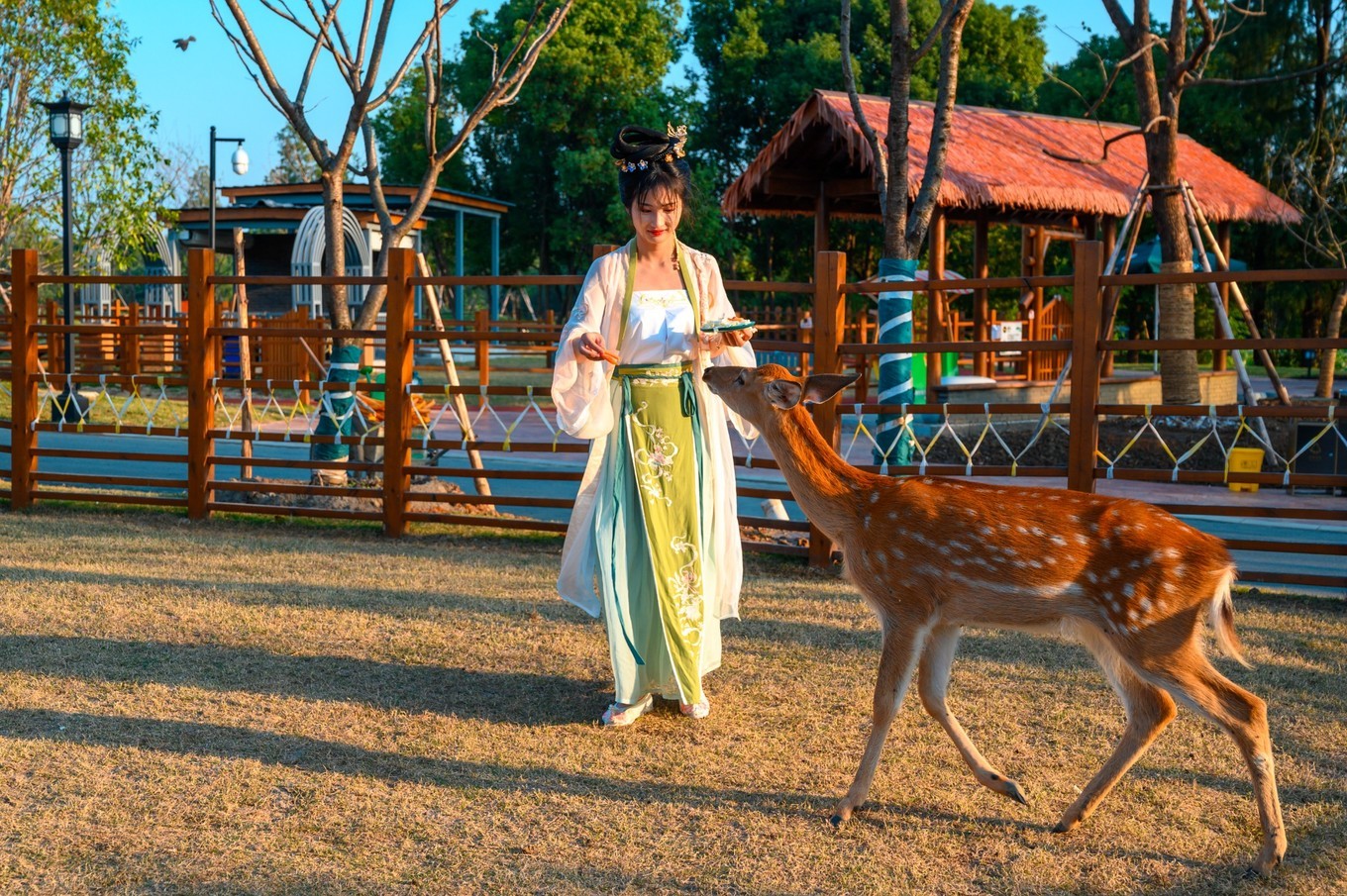 走进南京高淳,打卡网红打卡地固城湾景区,品尝固城湖螃蟹