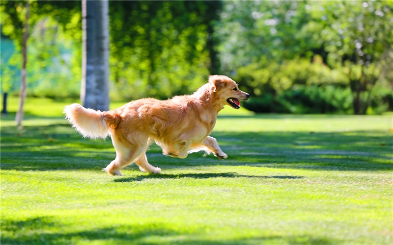 五六十的人能做什么生意,做生意只能月入5千怎么办