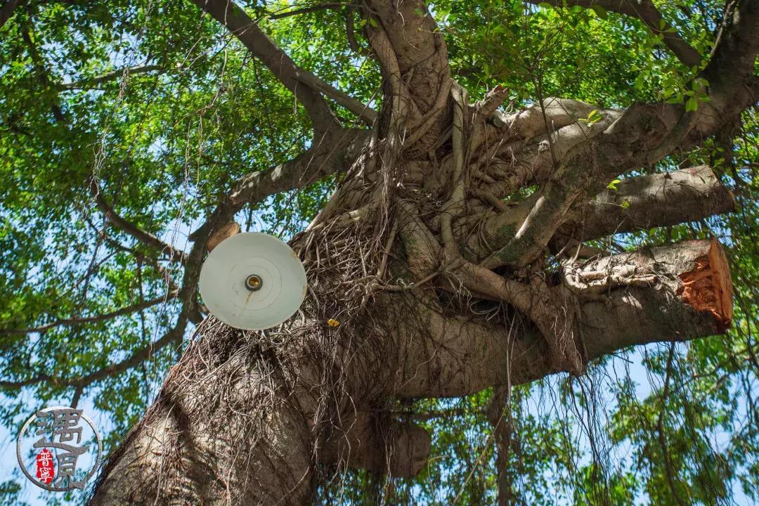 普宁流沙中华新城旧貌,普宁人民广场改造