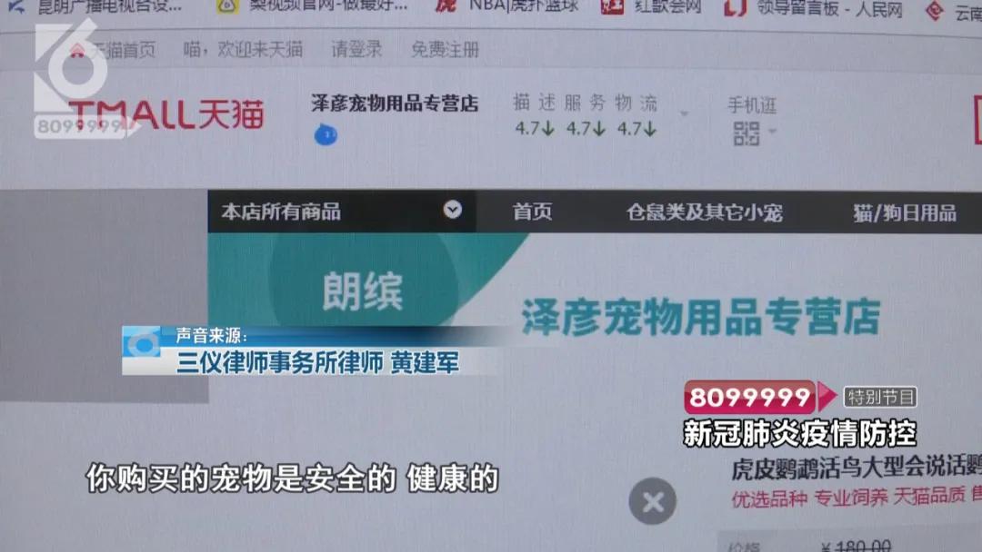 花鸟市场买宠物开放了吗,哪里有正规的花鸟市场