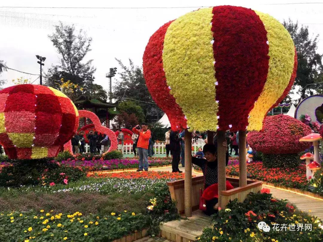 香港花卉艺术展,共赴盛会活动