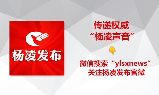 小平台托起大民心！杨凌示范区互联网政务服务平台建设项目通过验收