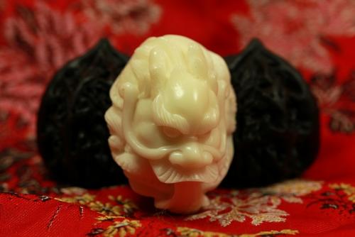 植物象牙图片大全大图,植物象牙红