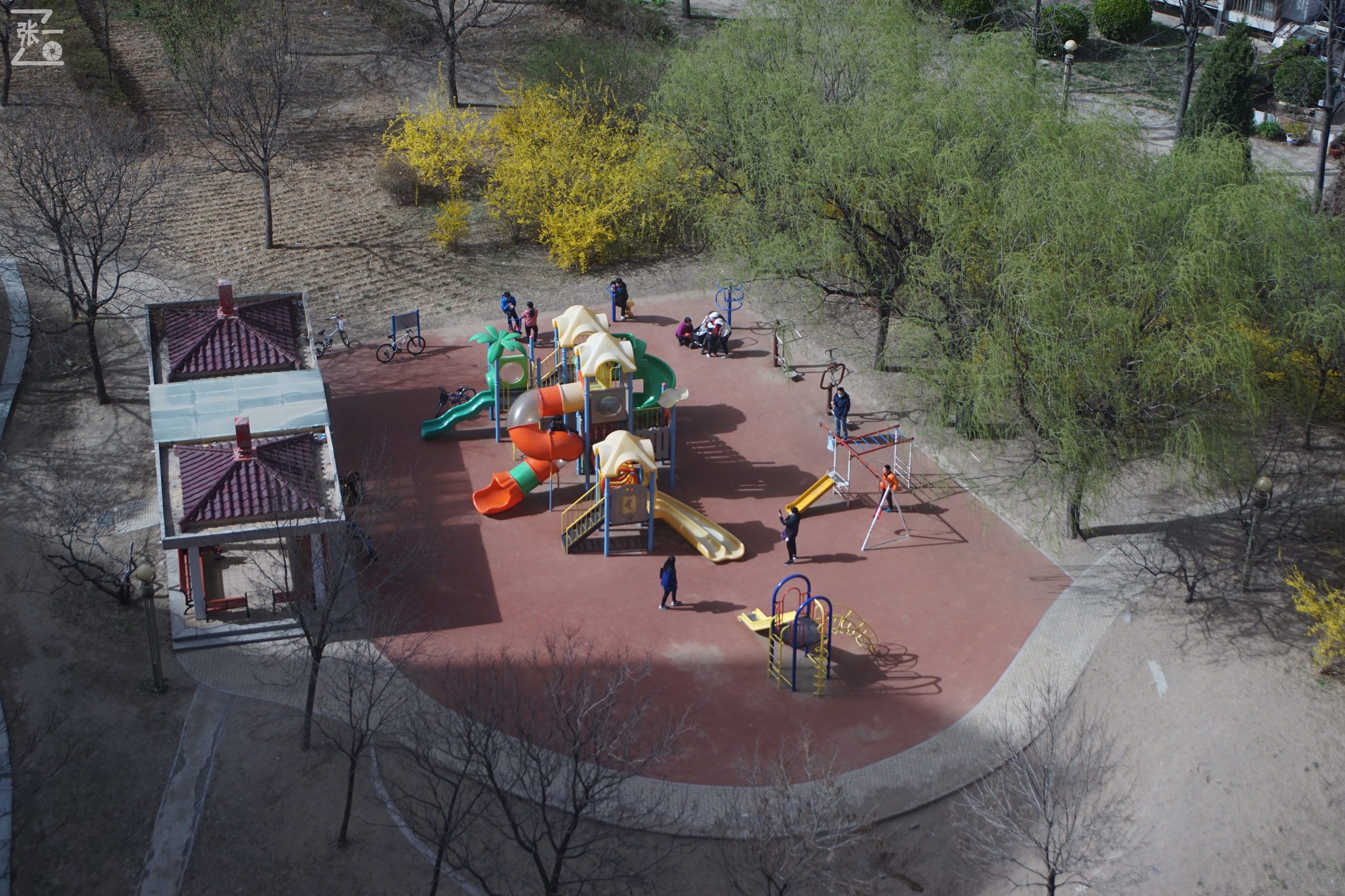 海鸥df300镜头与哪款数码相机通用,海鸥相机df300x怎么样