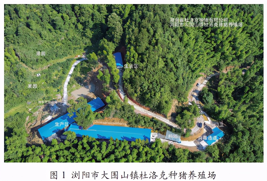 用优秀的公猪及精液产品为养殖者服务