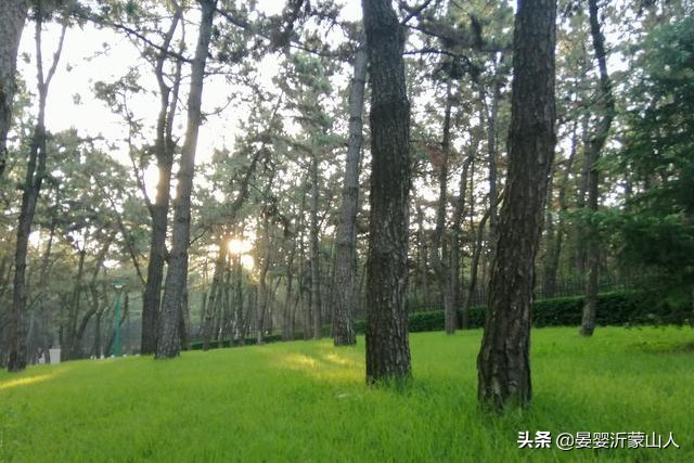 万米金沙滩风景,万米沙滩金沙滩