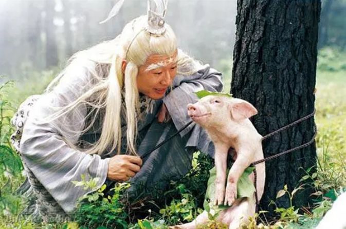 32年前的一部国产喜剧,国产十部巅峰神作喜剧