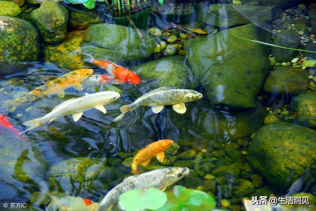 转运坚持做好这五点好运自然来,转运的关键在于自愈