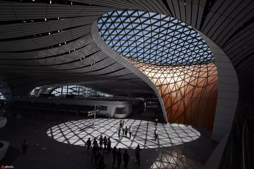 这牛太厉害了,这哥们太牛了