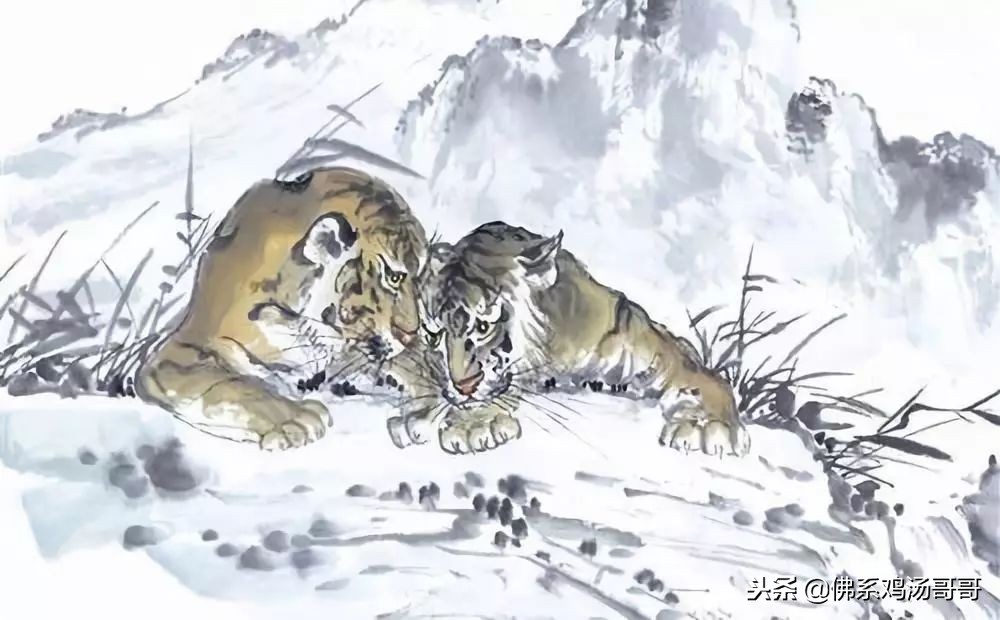 2019年运气好的属相,属相在2019年的运势