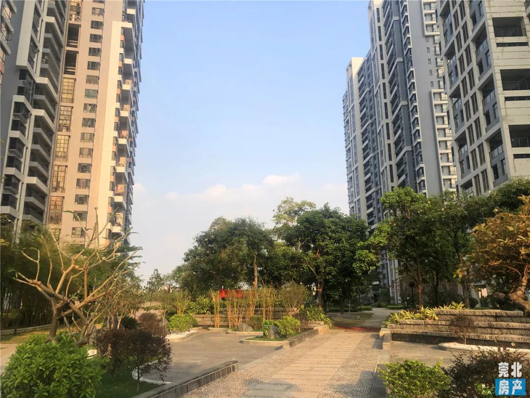 园洲东江府楼盘,惠州园洲东江府房价最新